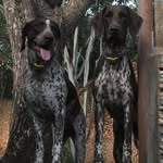Sally Mullens - @sallysteve.mullens - Instagram