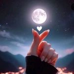 Sally Nagy - @sallynagy48 - Instagram