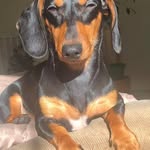 Sally Greene - @nationwidesally - Instagram