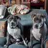 Sally Padgett Newell - @sally.padgett.new - TikTok