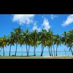 @sally_nicholas_ - Instagram