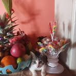 Sally Nosyas - Facebook