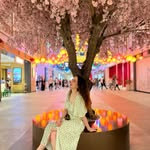 Sally Nouman - @sally_nouman9 - Instagram