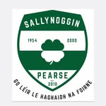 Sallynoggin Pearse FC - @sallynogginpearsefclsl - Instagram