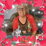Sally Norris - @sallynorris7988 - Instagram