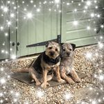 Sally Norton - @sallynorton40 - Instagram