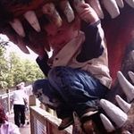 Sally Norton - @norton2203 - Instagram