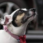 Sally Nowell - @salnowel11 - Instagram