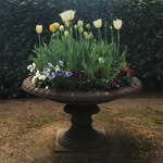 Sally Nutting - @sallynutting - Instagram