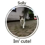 Sally - @sally.nutti - Instagram