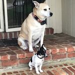 Sally Pace Nelson - @sallypacenelson - Instagram