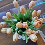 Sally Pagano - @sallypagano - Instagram