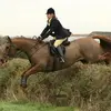 sally - @sallypick3 - TikTok