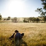 Sally Pittman - @sally_pittman - Instagram