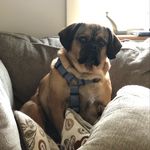 Sally Polley - @spolley4 - Instagram