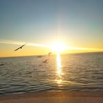 Sally Pontoglio - @pontogliosally - Instagram