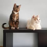 @sallypostcards - Instagram