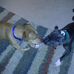 Sally and Max: Former Pound Pibbles - Facebook