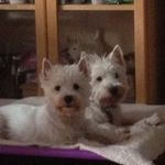 Sally Pound - @sally49pound - Instagram