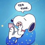 Sally Pratt - @sally2308 - Instagram