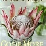 Sally Pretorius - @sallypret2023 - Instagram