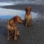 Sally Purcell - @purcell.sally - Instagram