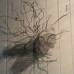 Sally Purcell - @sallypurcell1 - Instagram
