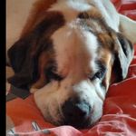 Sally Warren-purcell - @warrenpurcell - Instagram