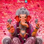 Poonam Sale - Facebook
