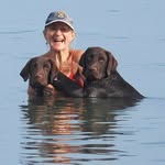 Sally Quick - @harakahouse2 - Instagram