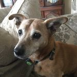 Sally(without Teddy)😢 - @sallylquick - Instagram