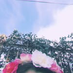 •Randomphotos•_ - @sallyrain00 - Instagram