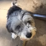 Sally Rainey - Facebook