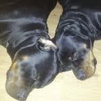 Sally Rainey - Facebook