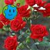 Ramden Seolly - Facebook