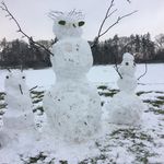 Sally Reeves - @sallyereeves - Instagram