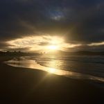 Lou Stephenson - @ringo.sally - Instagram