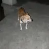 sallyrobles874 - @sallyrobles874 - TikTok