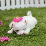 sally rock - @sallyrock571 - Instagram