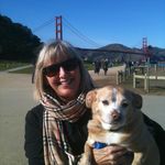 Sally Rockholt - @sallyrockholt - Instagram