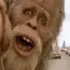 sally - @sallyrockslikepoop - TikTok