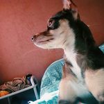 SALLY Beuti - @sally.mtz.romo - Instagram
