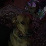 Sally May Roop - @sallymayroop - Instagram