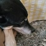 sally roseman - @rosemansally - Instagram