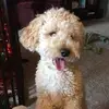 Sally Rowell968 - @sallyrowell968 - TikTok