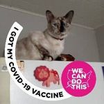 Sally Rowell - @sally.rowell.12 - Instagram