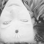 Sally Rowell - @sallyrowell - Instagram