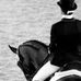 Equine Massage Therapist - Sally Rowley Chapman - Facebook