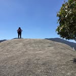 Sally Ann Rowley - @sallyar4 - Instagram
