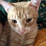 Sally Johnson Rowley - @salrow17 - Instagram